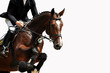 Reitsport, Pferdesport, Reiten, Springreiten, Hürdenspringen