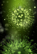 Flu virus concept with bacterias