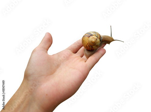 Photo: Snail life Snail life