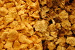 different types of mushrooms different types of mushrooms