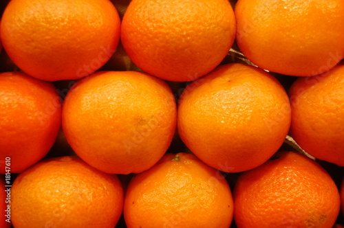 Photo: oranges oranges
