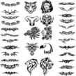 Vektor: Animal&Tribal collage (vector) Animal&Tribal collage (vector)