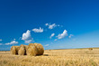 hay under blue skies
