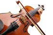 Playing Violin on white backround
