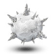 winter dream