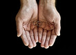 Wedding rings