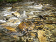 Pequeño remolino de agua en el rio Pequeño remolino de agua en el rio