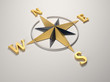 Compass