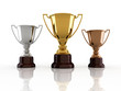 Winners trophy