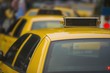 new york taxis wait in line