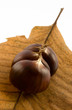 castagne