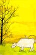Cow in a field