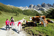 Foto: Tirol Tirol