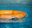Foto: Rettungsring im Pool Rettungsring im Pool