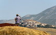 trebbiatura lenticchie a Castelluccio di Norcia