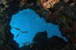 Beilbauchfische unterwasser ( Mittelmeer ) Beilbauchfische unterwasser ( Mittelmeer )