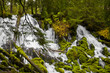Photo: Clearwater Falls - Umpqua Scenic Byway Clearwater Falls - Umpqua Scenic Byway