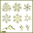Design elements with olive repeat Design elements with olive repeat