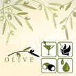 Olive and design elements: martini, bird, oil and logo