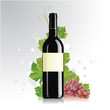 vector illustration of wine bottle with blank labels
