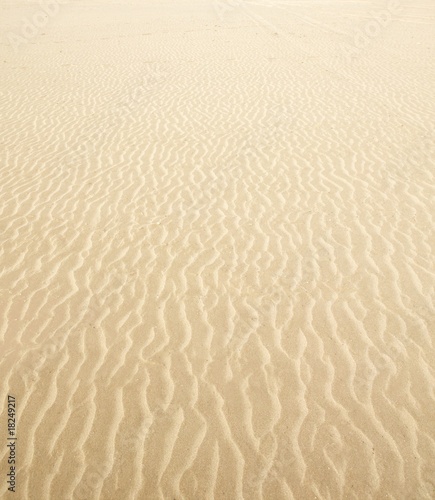 beach sand texture. Beach sand waves warm texture background © lunamarina #18249217. Beach sand waves warm texture background