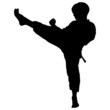 boy karate kick mae gery