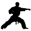 KARATE KATA KARATE KATA