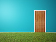 Interior scene - room with door and a grass covered floor Interior scene - room with door and a grass covered floor