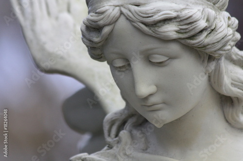 Foto: Engel - Angel's face Engel - Angel's face