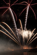Feuerwerk als Palmen