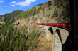 Alpine Train Ride