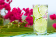 Refreshing Summer Drink