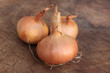 Oignons
