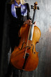 Cello musician