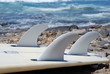 surfing
