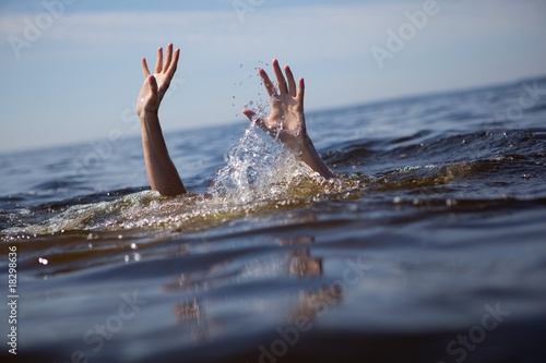 Photo: Seeking rescue. Seeking rescue.