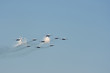 Salute in air