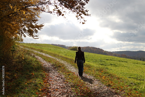 Photo: taking a walk taking a walk