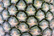 Pineapple bark