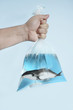 whale in plastic