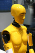 Crash Test Dummy