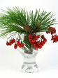 Branch of a pine and red berries Branch of a pine and red berries