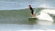 surfer en action sur une vague