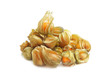 Physalis