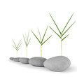 Natural Zen Elements