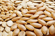 Close up of different dry pummpkin seed