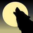wolf and moon