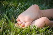 Child's bare feet in green grass