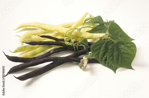 Foto: runner beans with blooming vine runner beans with blooming vine