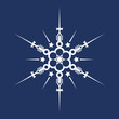 Eisblume Eisblume